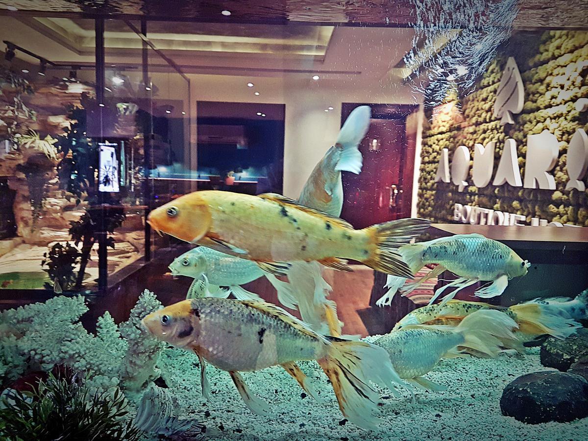 Aquarium Hotel Riyad Extérieur photo