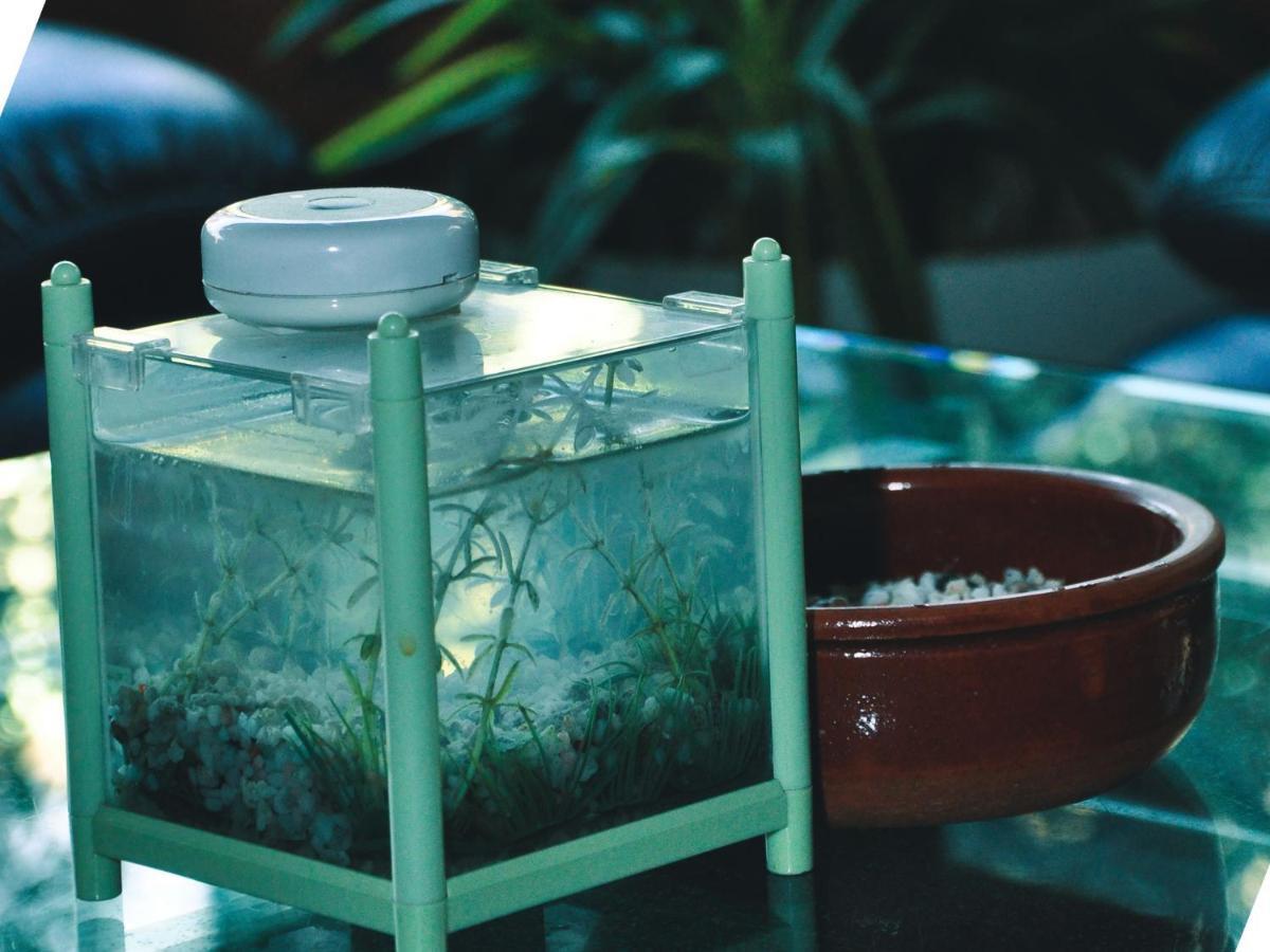 Aquarium Hotel Riyad Extérieur photo
